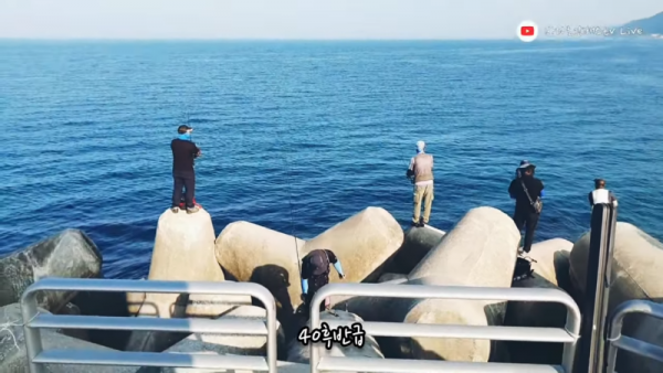 강릉 안인항 고등어낚시