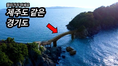 제주도 보다 깨끗한 바다를 경기도 안산에서 볼 수 있다