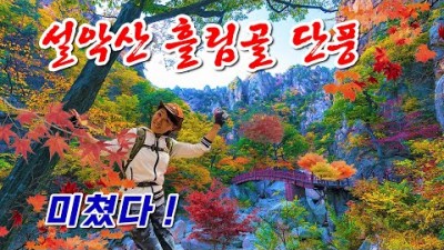 설악산 흘림골 단풍산행 단풍절정기 우리나라 최고의 명산 설악산 단풍여행 트레킹 가볼만한곳 추천