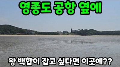 서울근교 해루질 가볼만한곳 추천, 영종도 마시안갯벌체험장 백합 해루질, 꽃게 해루질, 수도권 해루질 포인트 갈만한곳