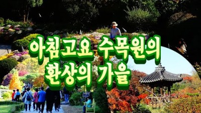 가평 아침고요수목원 환상적인 가을풍경 여행 가볼만한곳