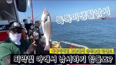 충남 무창포 백조기 배낚시 선상낚시 출조 서해안 백조기낚시 바다낚시 포인트 추천