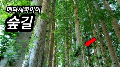 힐링은 역시 자연