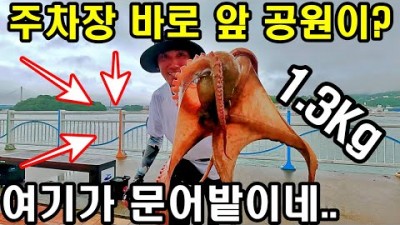 여수해양공원 문어낚시 포인트, 발판 편한 여수 문어낚시 가볼만한곳