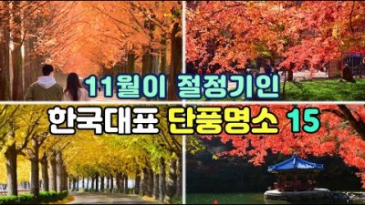 11월 단풍명소 추천, 창경궁 춘당지, 천안 독립기념관 단풍숲길, 고창 선운사 단풍길, 담양 메타세쿼이아길, 순천만 갈대정원, 단풍 절정시기 여행 가볼만한곳