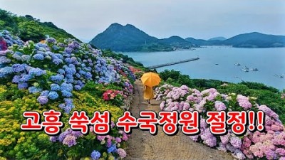 전남 고흥 쑥섬 수국죽체 수국정원 별졍원 달정원 고흥 여행 가볼만한곳 추천