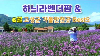 강원도 고성 하늬라벤더팜 축제 여행 가볼만한곳, 6월 추천여행지, 성인대, 능파대, 아야진해수욕장, 서낭바위, 설악산, 울산바위, 강원도 여행 갈만한곳 추천