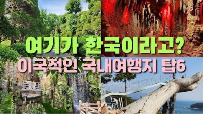이국적인 국내여행지 7월에 가볼만한 여행지 추천, 세종 베어트리파크, 담양 메타프로방스, 거제 정글돔, 여수 예술랜드, 아산 피나클랜드, 가족여행지 여름휴가 갈만한곳 추천