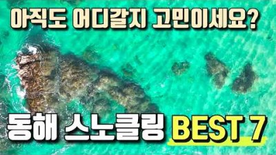 동해 스노클링 프리다이빙 포인트 가볼만한곳 추천