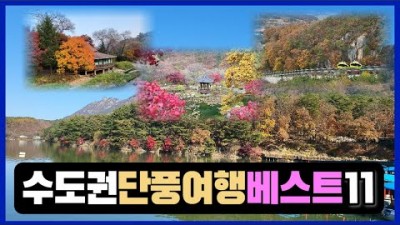 서울근교 당일치기 단풍여행 가볼만한곳, 남이섬, 아침고요수목원, 서울대공원 둘레길, 독립기념관, 산정호수, 화담숲, 수도권 경기도 단풍여행 갈만한곳 추천