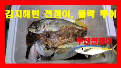 부산 감지해변 전갱이, 볼락 시알 좋고 잘나오는 루어낚시 포인트 추천