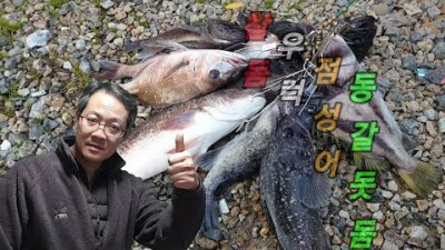 충남 당진 서해대교바다낚시터 참돔 우럭 점성어 동갈돗돔 바다유료낚시터 조황정보
