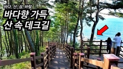 강원도 삼척 장호항 해상케이블카, 투명카누, 스노쿨링, 한국의 나폴리에 다녀왔습니다!