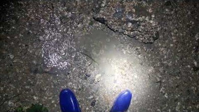 서울근교 영흥도 소라해루질 포인트 추천