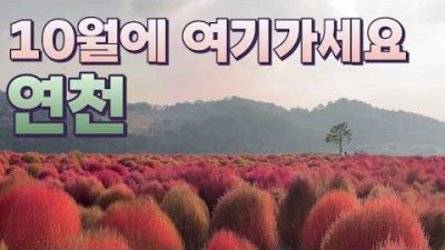 연천 꽃축제 여행 가볼만한곳, 댑싸리공원, 호로고루, 당포성, 당일치기 국내여행 추천
