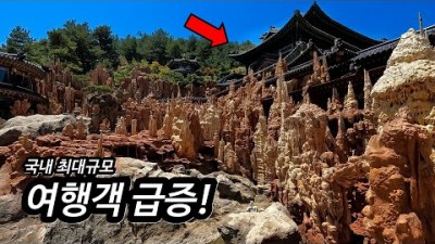 MZ세대가 해외여행 안가는 이유
