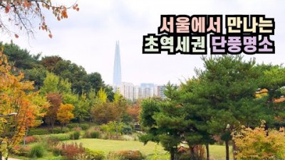 서울 단풍명소 오금공원 무장애 숲길과 황톳길 트레킹 서울 단풍여행 가볼만한곳
