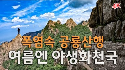 강원도 설악산 공룡능선 여름산행 트레킹 등산코스 가볼만한곳 추천
