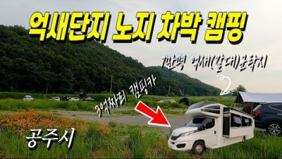 충남 공주 금강억새단지 무료노지 차박 캠핑 가볼만한곳 추천, 7만평 갈대밭에서 노지 차박 캠핑을 즐길수 있는 차박명소 추천
