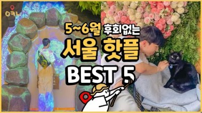 서울 데이트코스 가볼만한곳 베스트5, 스머프 매직 포레스트, 일상비일상의틈, 켈리라운지 서울, 집사의하루 고양이카페, 온센 텐동맛집, 서울 눌러갈만한곳 추천