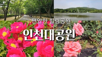 인천 가족나들이 명소 가볼만한곳, 인천대공원 힐링산책, 작약꽃밭, 장미정원, 인천 데이트코스 아이들과 갈만한곳 추천