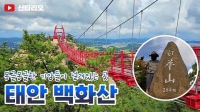태안 백화산 등산코스 최단코스 태안8경 산행 트레킹 가볼만한곳 추천