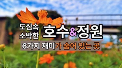서서울호수공원 호수둘레길 주말나들이 가을 서울근교 가볼만한곳 추천