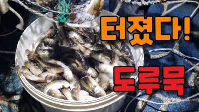 강원도 양양 물치항 도루묵축제 겨울별미 도루묵 통발낚시 가볼만한곳 추천