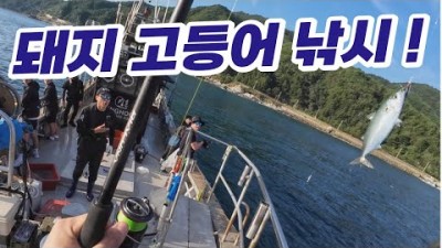 강원도 강릉 고등어 삼치 부사리 라이트지깅낚시 배낚시 선상낚시 조황정보