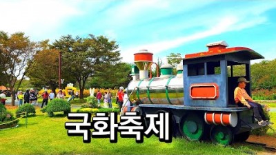 인천 2024 드림파크 국화축제 서울근교 꽃축제 가볼만한곳
