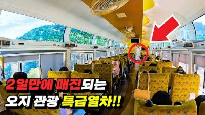 정선아리랑열차(A-train) 청량리역 출발 주 2회만 운행하는 황금빛 '특급 열차' 타고 떠나는 정선 당일치기 기차여행 가볼만한곳