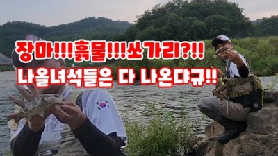 강원도 영월 서강 쏘가리낚시 루어낚시 포인트 출조