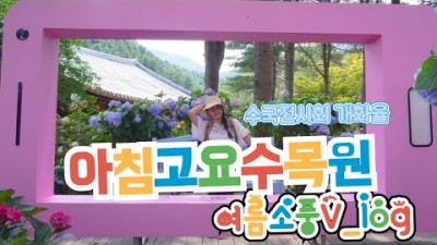 당일치기 가평 여행 추천 '아침고요수목원' 수국축제, 포토스팟 BEST20, 서울근교 데이트코스, 가족나들이 가볼만한곳 추천